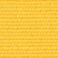 Canvas Sunflower